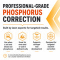 Triple Super Phosphate 0-46-0 Fertilizer