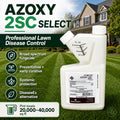 azoxy fungicide features