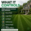 azoxy fungicide controls these diseases