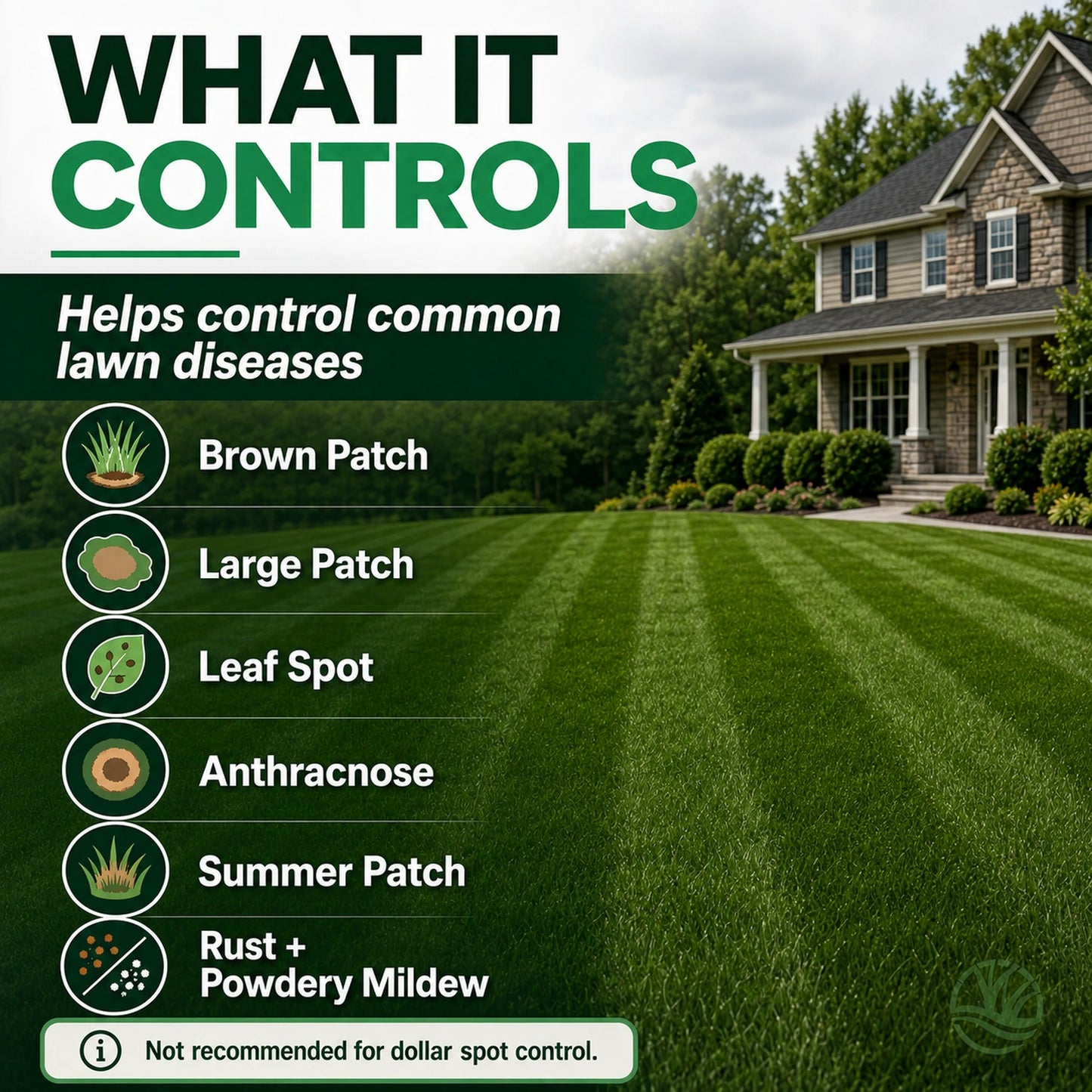 azoxy fungicide controls these diseases