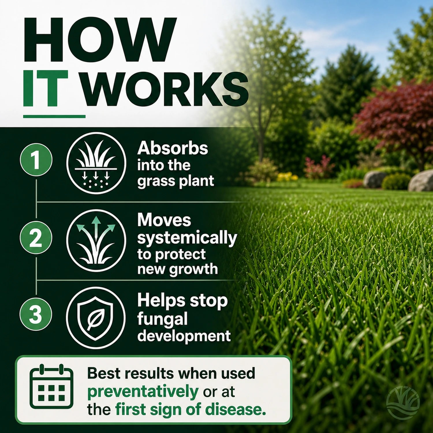 azoxy fungicide how it works