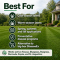 azoxy fungicide best for lawn types