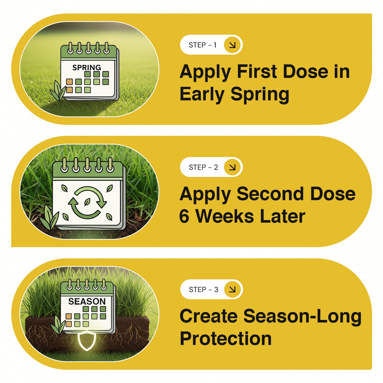 Step-by-step guide for applying a treatment with calendar icons and text on a yellow background.