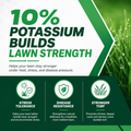 Almighty 20-0-10 Lawn Fertilizer features