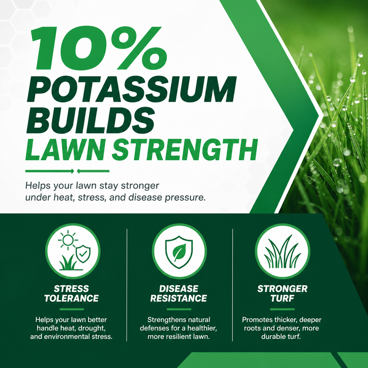 Almighty 20-0-10 Lawn Fertilizer features
