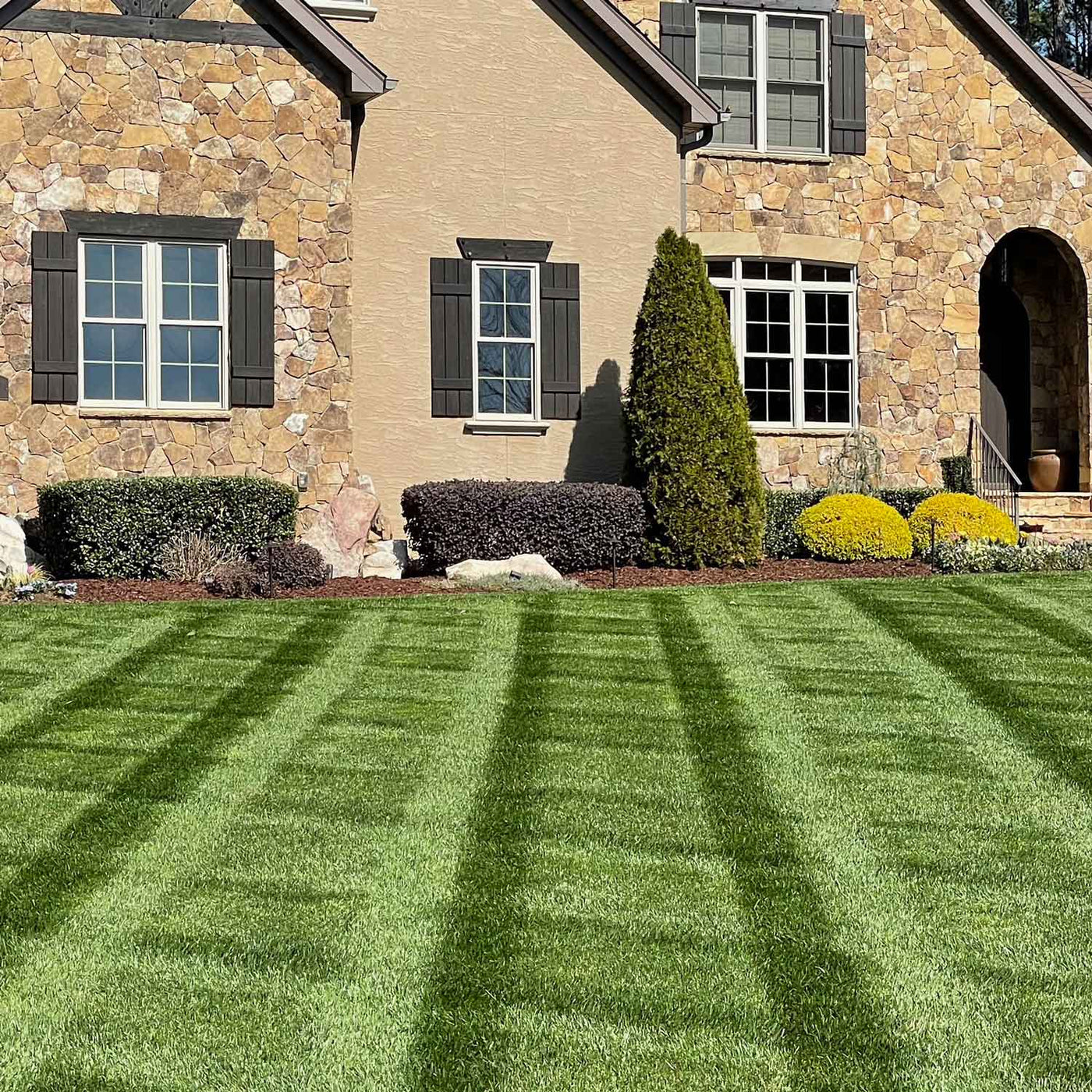 Almighty 20-0-10 Lawn Fertilizer