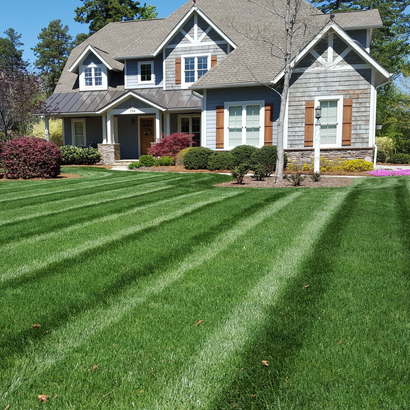 Lawn with Dark Green stripes - Lawn Synergy