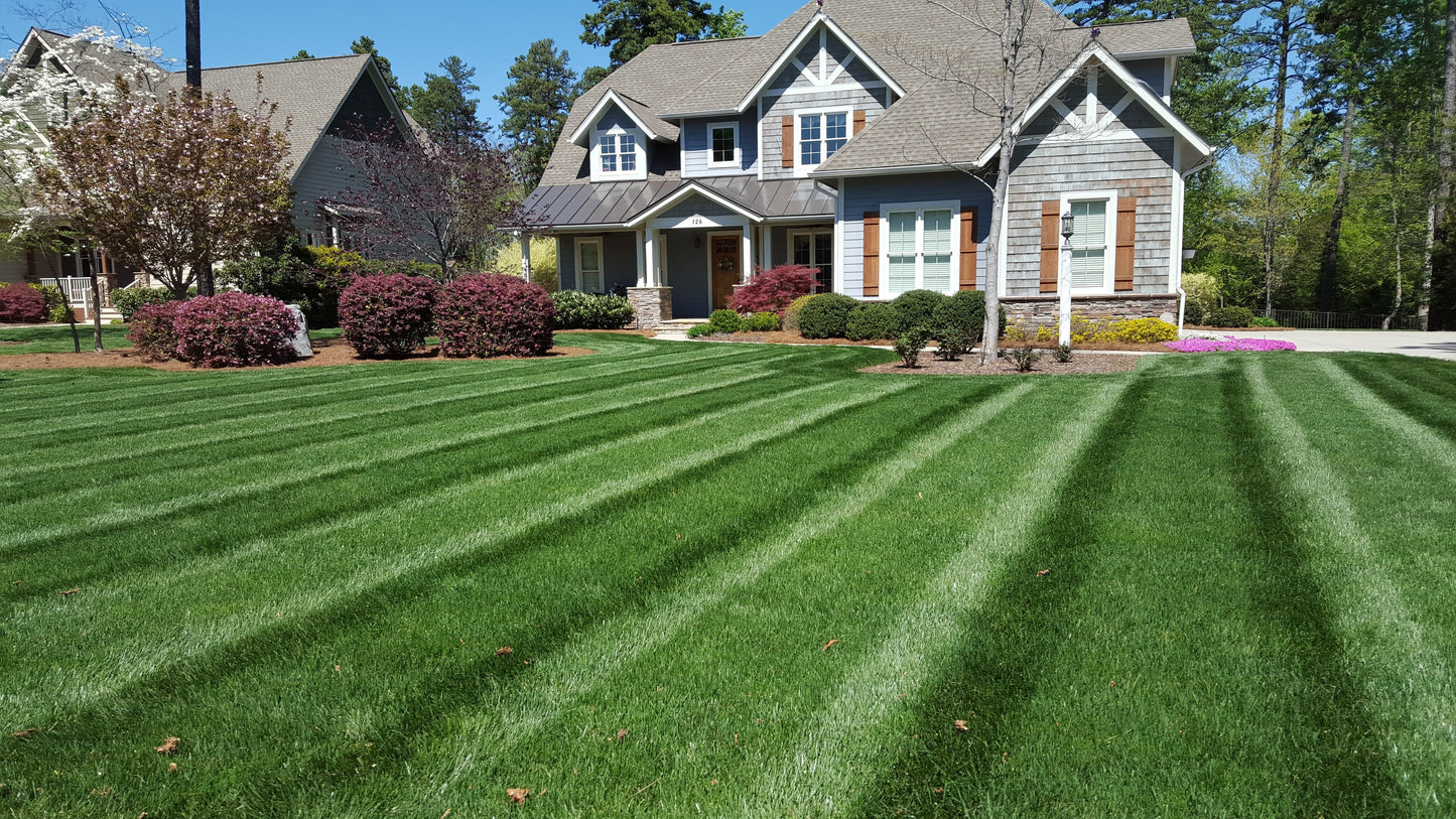 Aeration & Overseeding Tall Fescue Bundle