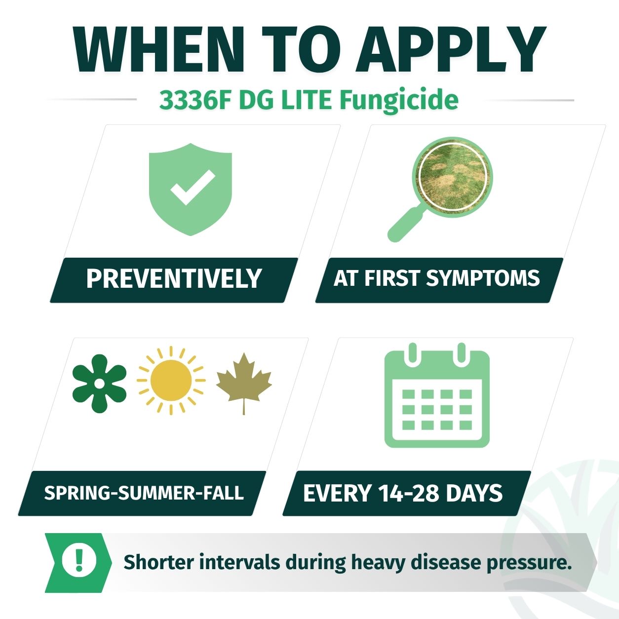 Infographic on when to apply 3336F DG LITE Fungicide with preventive and symptomatic application guidelines.