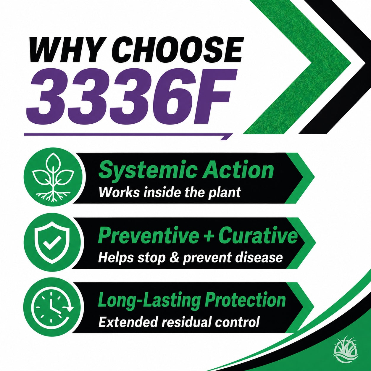 3336F Fungicide – Systemic Lawn Disease Control