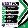 3336F Fungicide – Systemic Lawn Disease Control