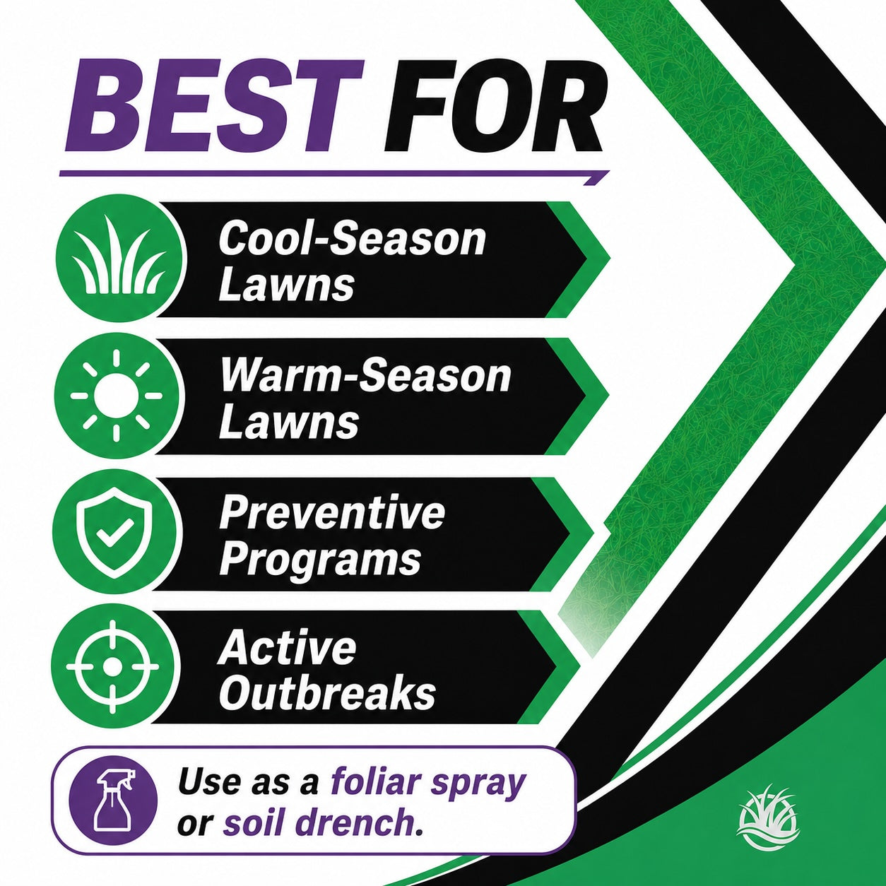 3336F Fungicide – Systemic Lawn Disease Control