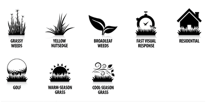 Q4 Plus Turf Herbicide for Grassy & Broadleaf Weeds