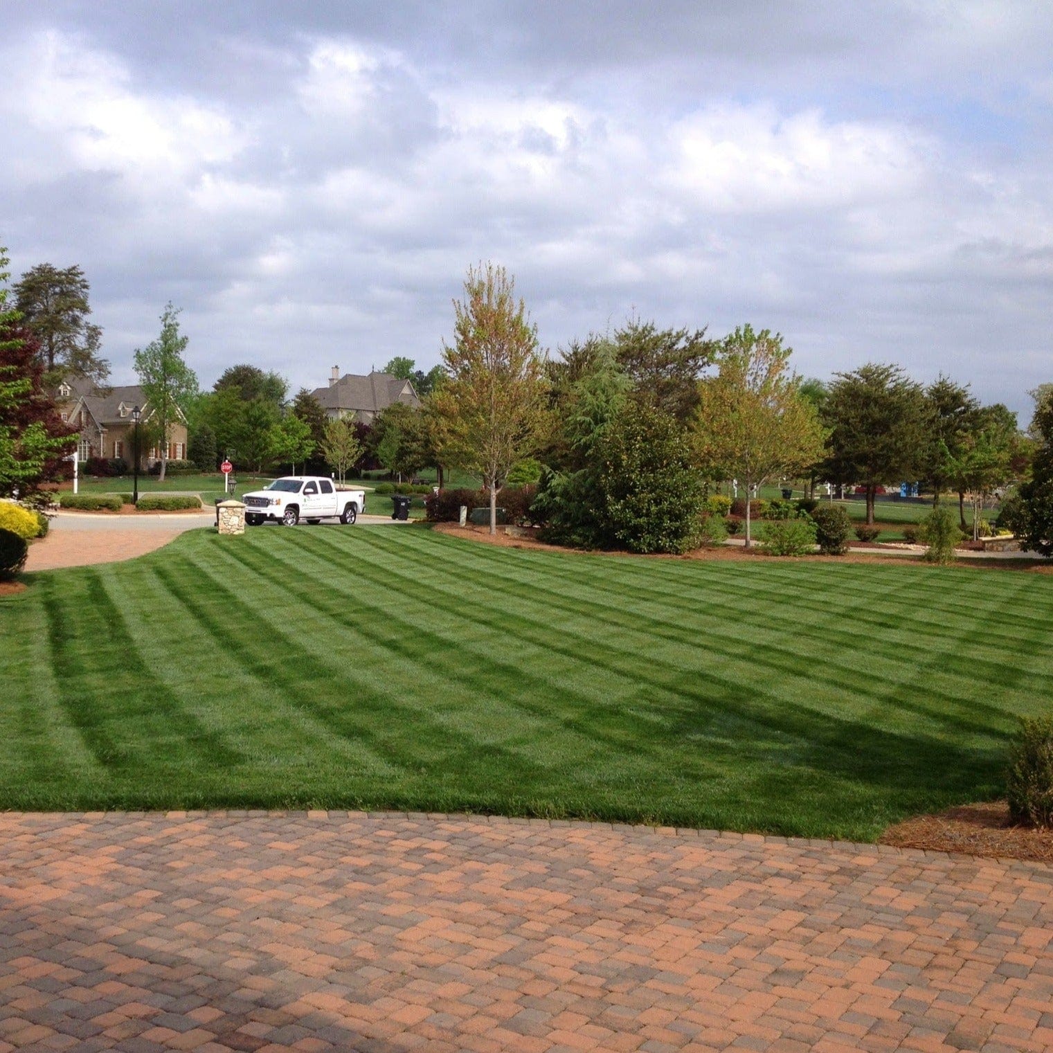 20-0-10 Almighty Nitrogen Lawn Fertilizer with Iron