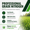 46-0-0 Urea Nitrogen Fertilizer