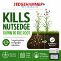 Sedgehammer Plus Weed Control