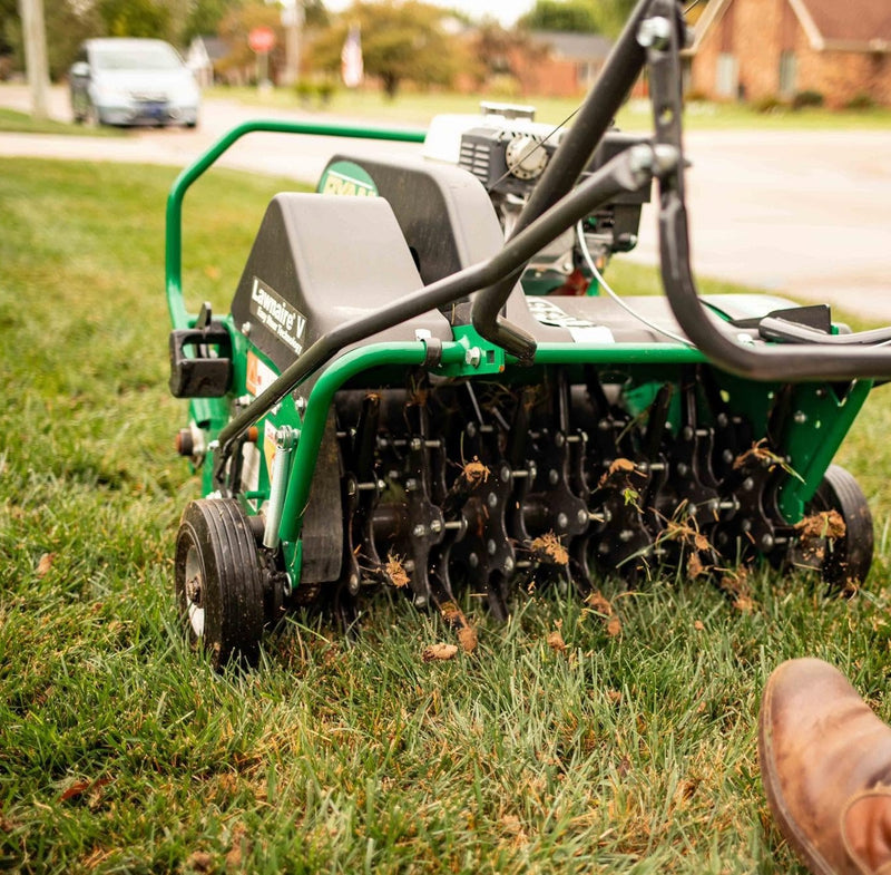 Best Time to Plant Envy Grass Seed