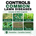 Advertisement for Armada 50 WDG Fungicide showing images of common lawn diseases and their control.