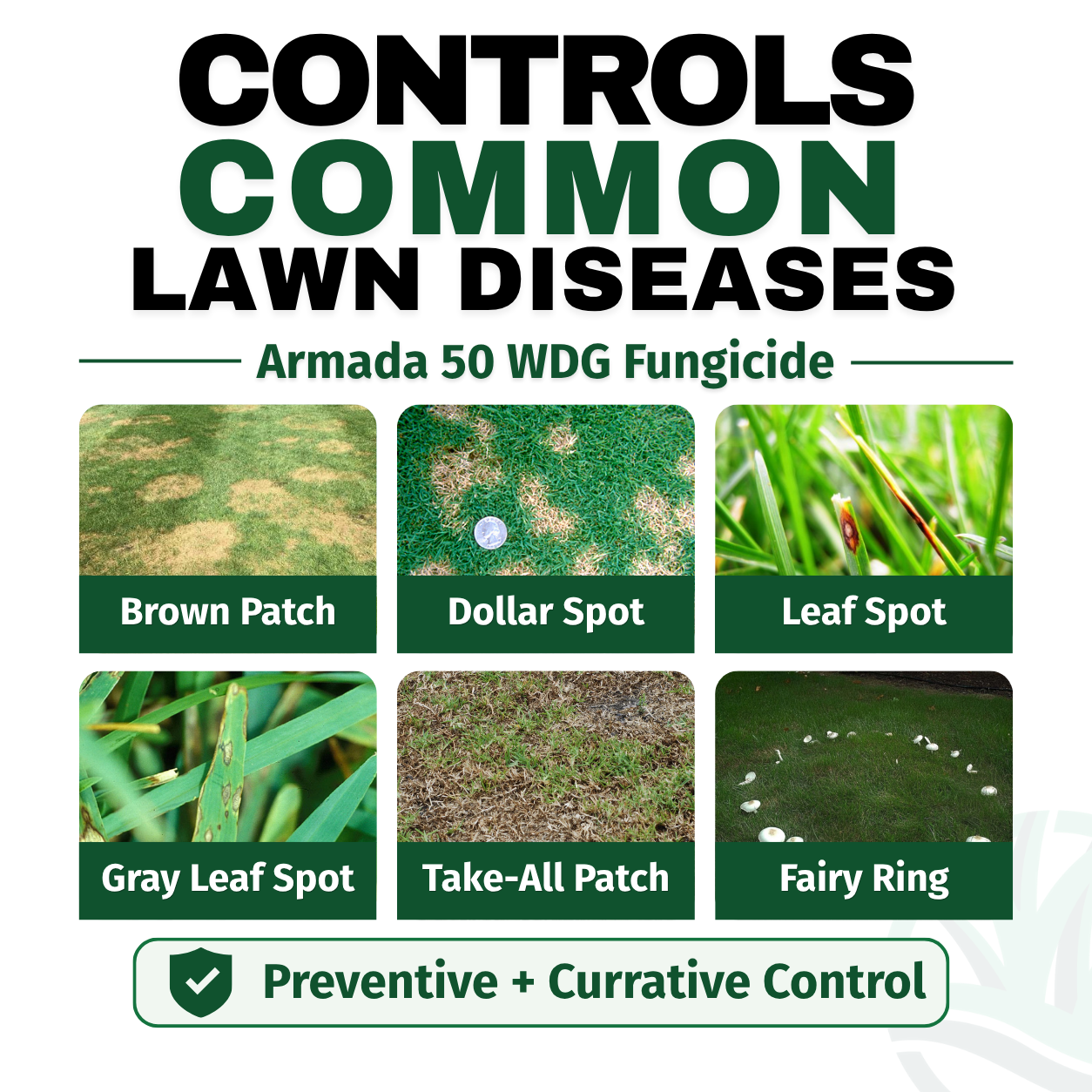 Advertisement for Armada 50 WDG Fungicide showing images of common lawn diseases and their control.