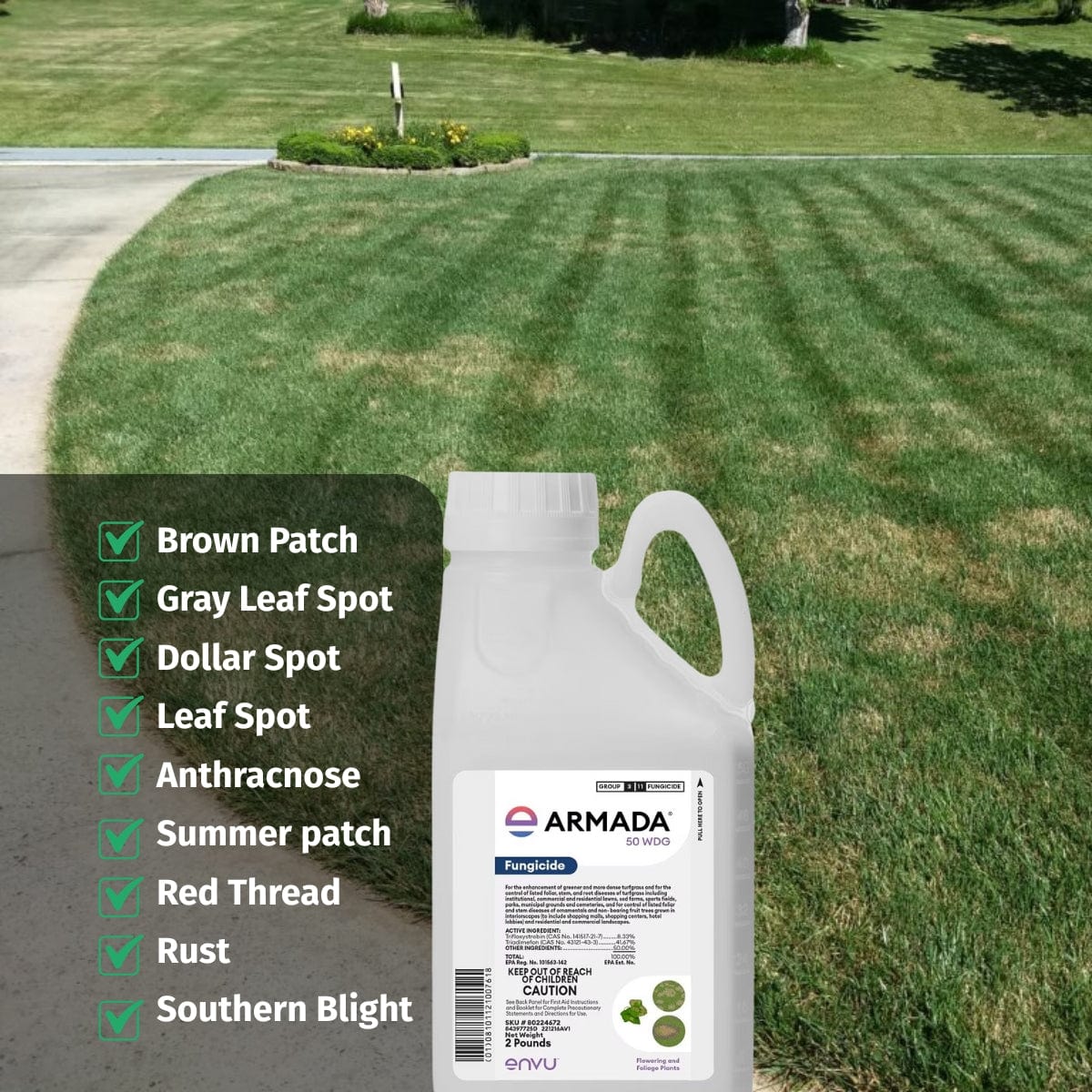 Armada 50 WDG Fungicide – Lawn Disease Control for Brown Patch
