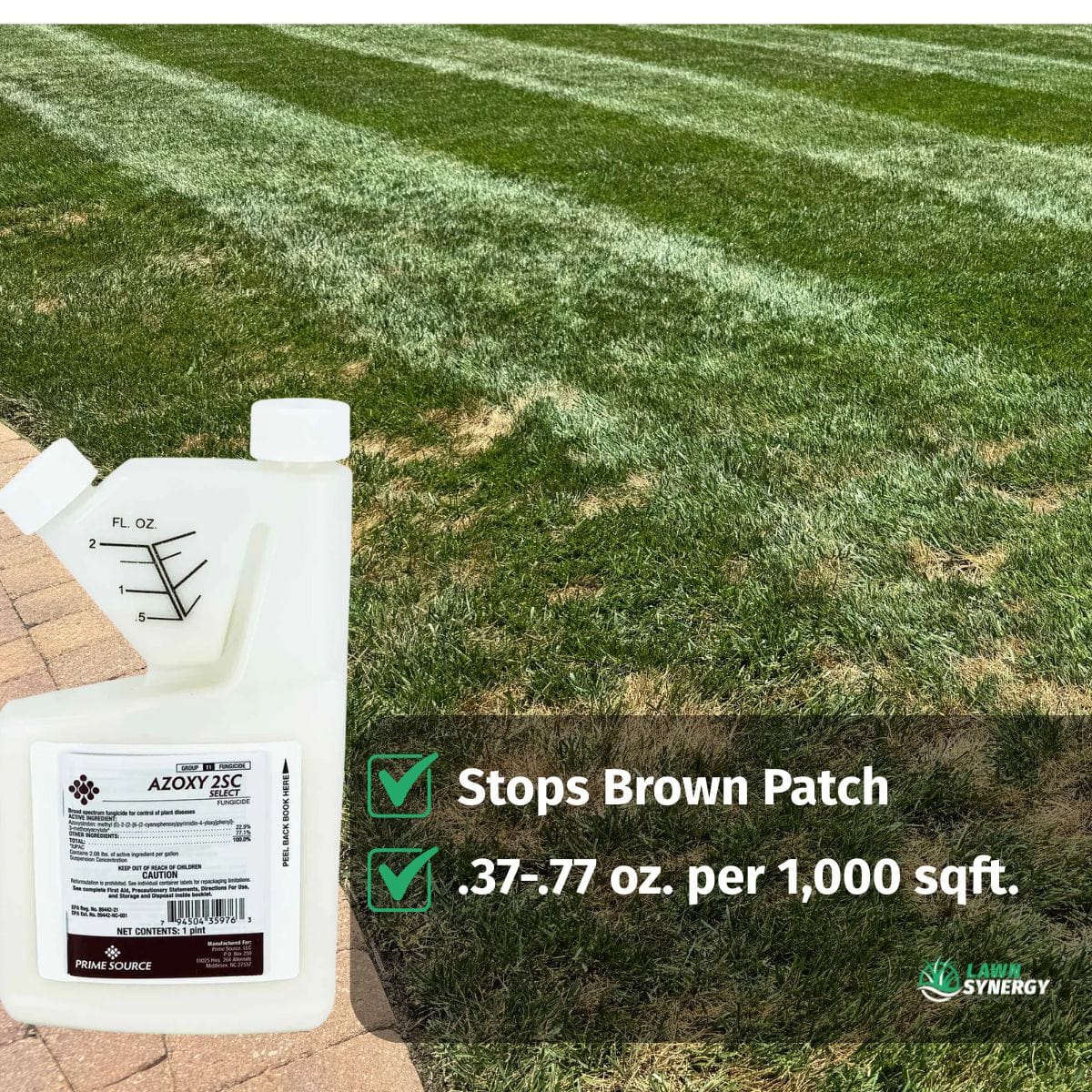 Azoxy 2SC Fungicide – Professional-Grade Lawn Fungus Control (Same