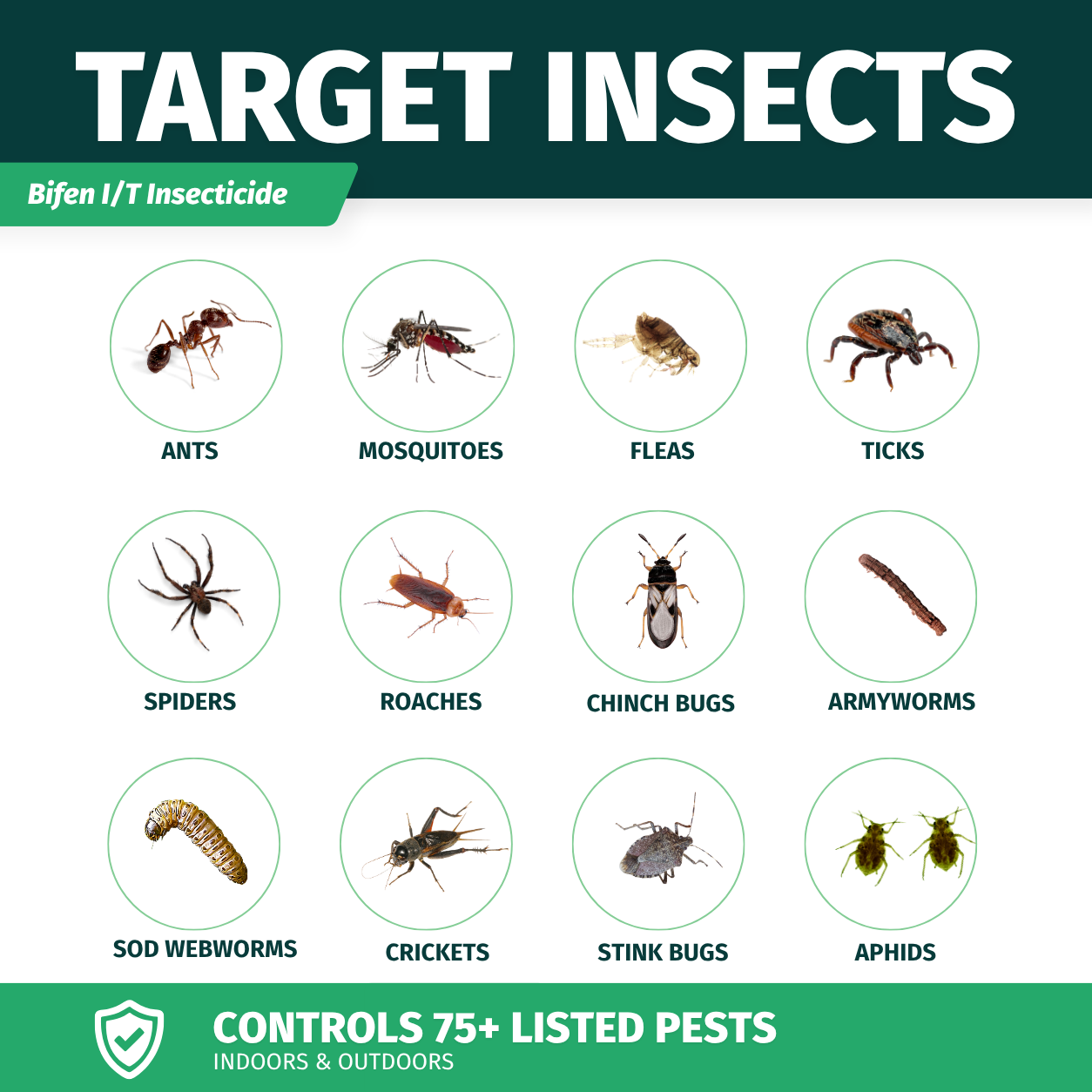 Chart of target insects controlled by Bifen I/T Insecticide with images and names.
