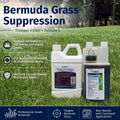 Triclopyr & Fusilade II for Bermuda Grass Suppression in Zoysia and Tall Fescue Lawns.  