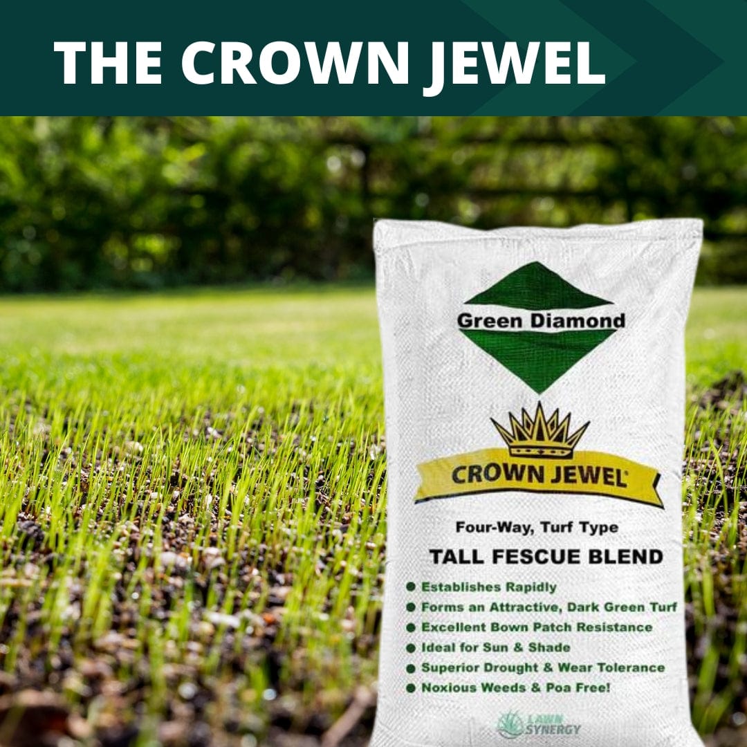 lowes rapid grow grass seed Crown Jewel Elite Tall Fescue Grass Seed