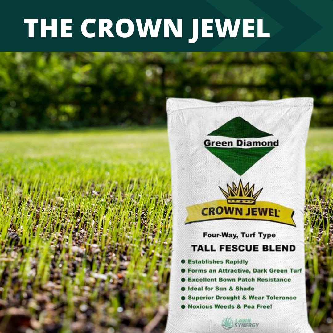 Crown Jewel Grass Seed