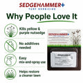 Sedgehammer Plus Weed Control