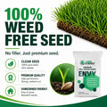 Envy Premium Tall Fescue Grass Seed Blend