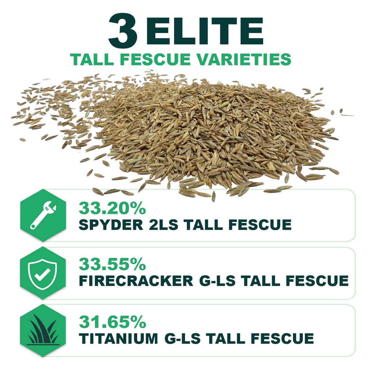 Envy Premium Tall Fescue Grass Seed - Turf-Type Fescue