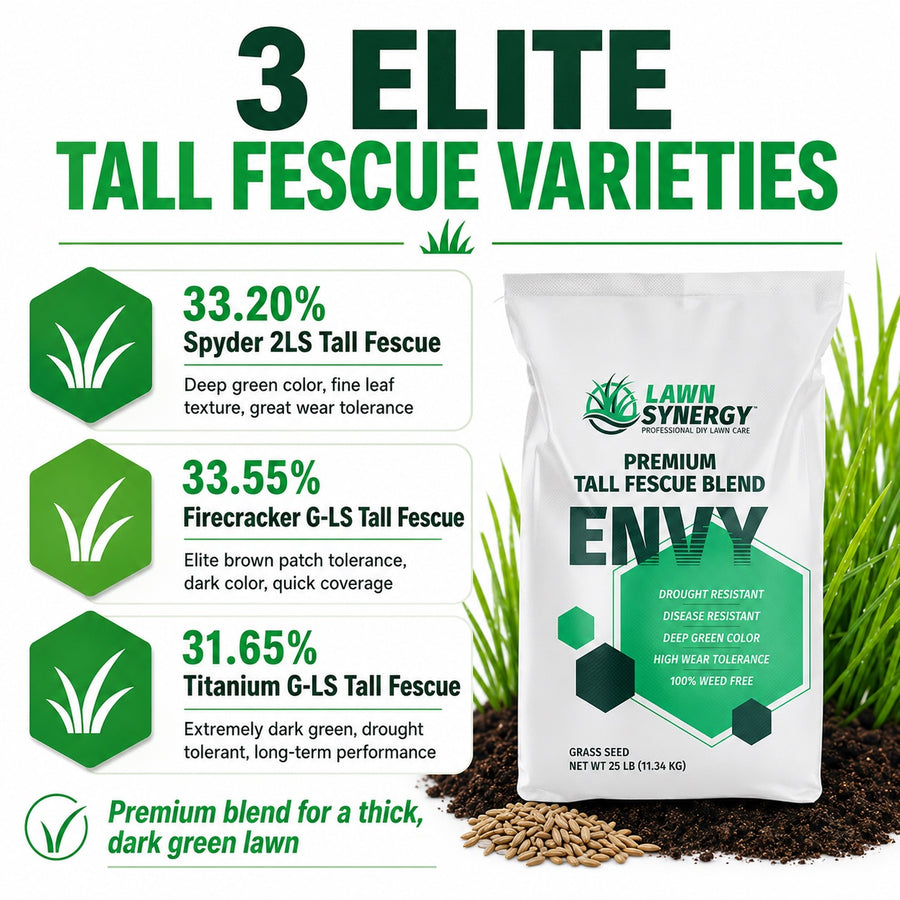 Envy Premium Tall Fescue Grass Seed Blend