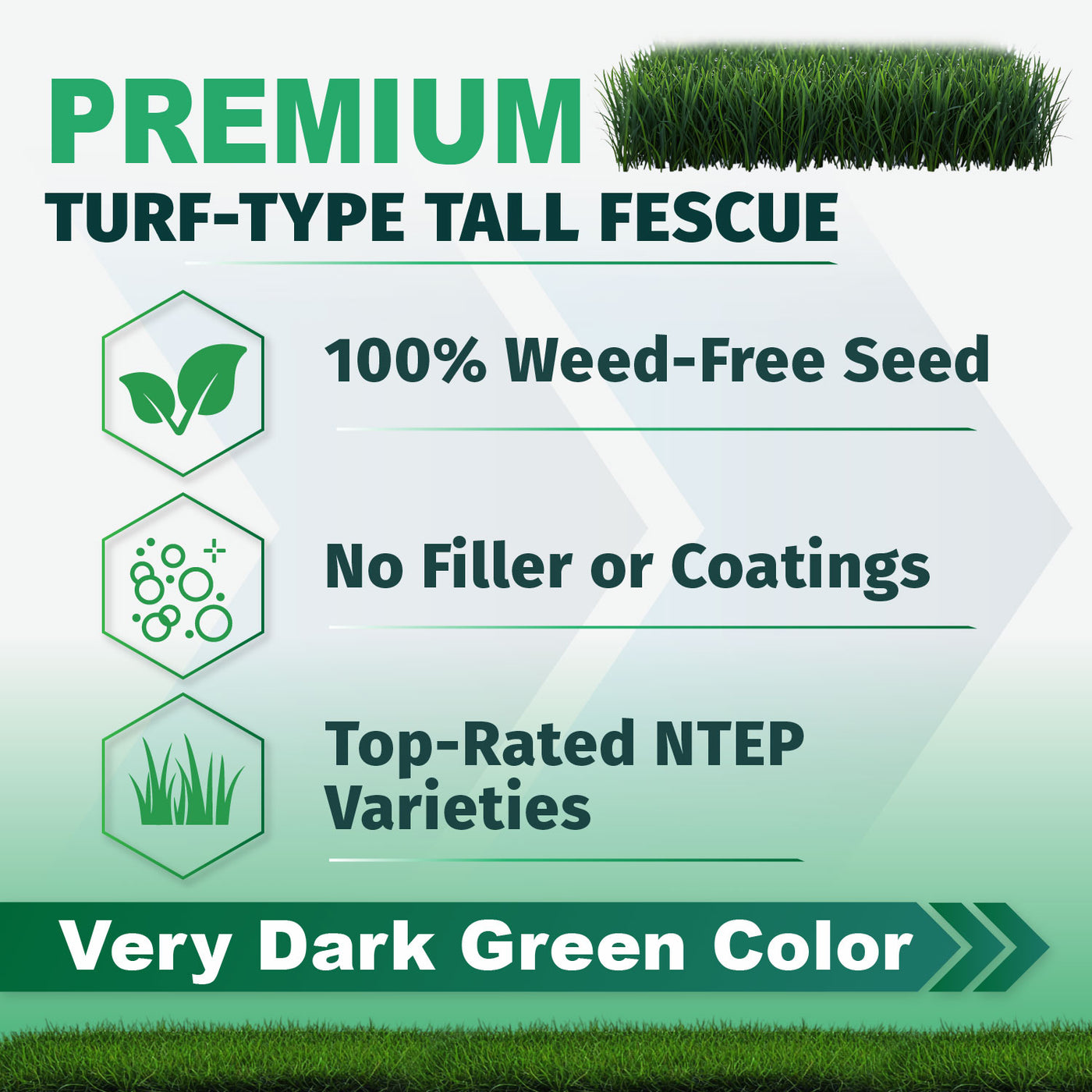 Promotional graphic for premium turf-type Envy tall fescue seed, showing green grass imagery and text claims including 100% weed-free seed, no filler or coatings, top-rated NTEP varieties, and very dark green color.