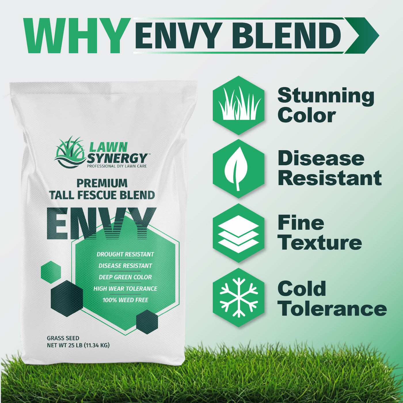 A bag of Lawn Synergy Envy Premium Tall Fescue Blend grass seed is shown on a light green background with promotional text and feature icons for color, disease resistance, fine texture, and cold tolerance, with grass at the bottom.