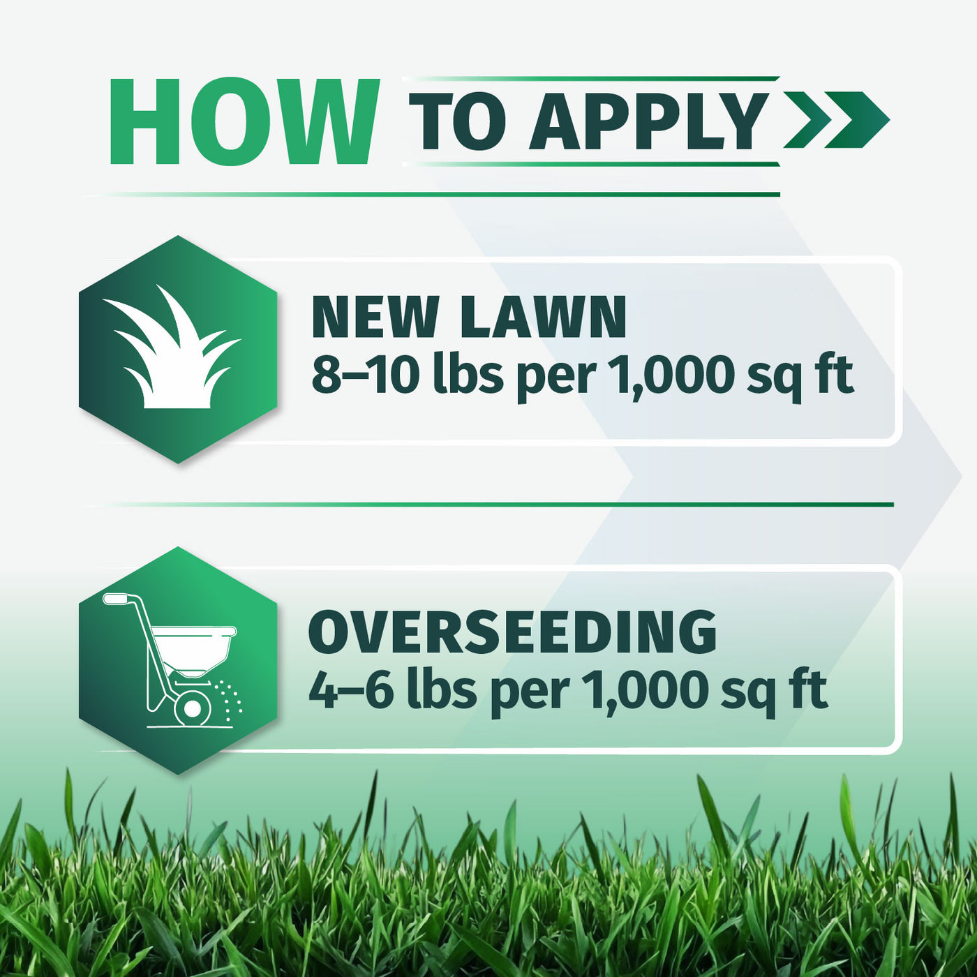 Instruction graphic titled 'HOW TO APPLY' with two application sections: 'NEW LAWN' at 8-10 lbs per 1,000 sq ft and 'OVERSEEDING' at 4-6 lbs per 1,000 sq ft, shown with lawn icons and a strip of green grass at the bottom for Envy tall fescue grass seed.