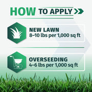 Instruction graphic titled 'HOW TO APPLY' with two application sections: 'NEW LAWN' at 8-10 lbs per 1,000 sq ft and 'OVERSEEDING' at 4-6 lbs per 1,000 sq ft, shown with lawn icons and a strip of green grass at the bottom for Envy tall fescue grass seed.