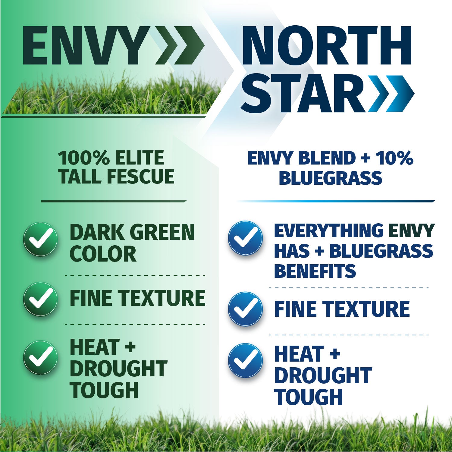 Envy Premium Turf Type Tall Fescue Grass Seed Blend