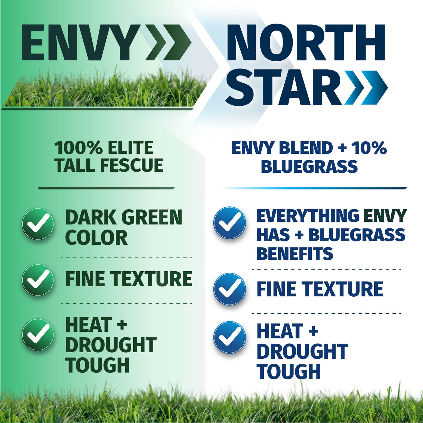 Promotional graphic for North Star lawn blend featuring ENVY and NORTH STAR branding, with text highlighting 100% elite tall fescue, dark green color, fine texture, and heat and drought toughness, plus a 10% bluegrass component.