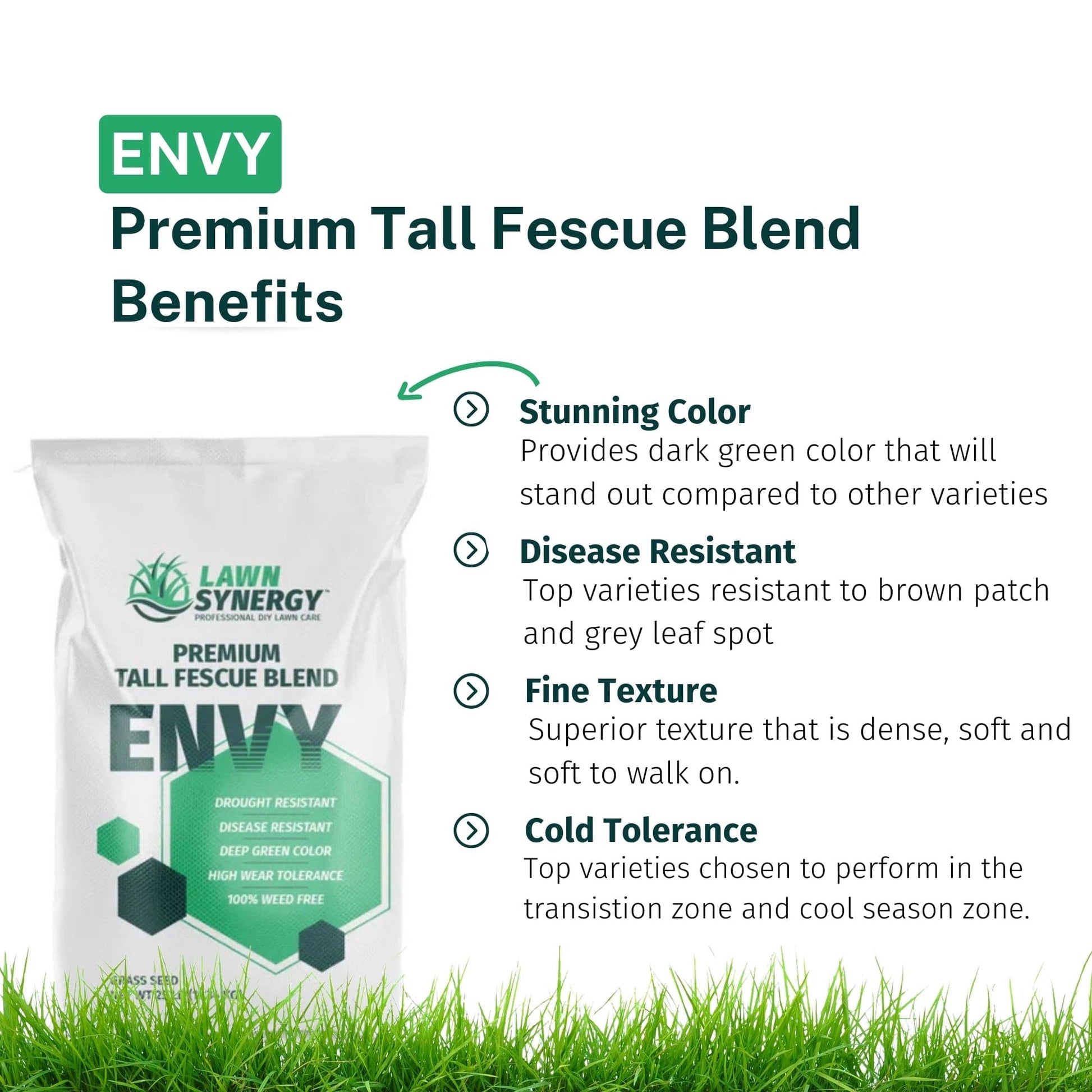 Envy Tall Fescue Grass Seed Benefits