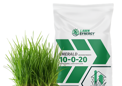 Professional-Grade Lawn Care Made Simple