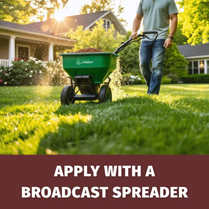 How to apply perennial rye seed with spreader