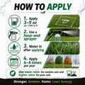 Lawn care application guide with steps and visuals on a green background