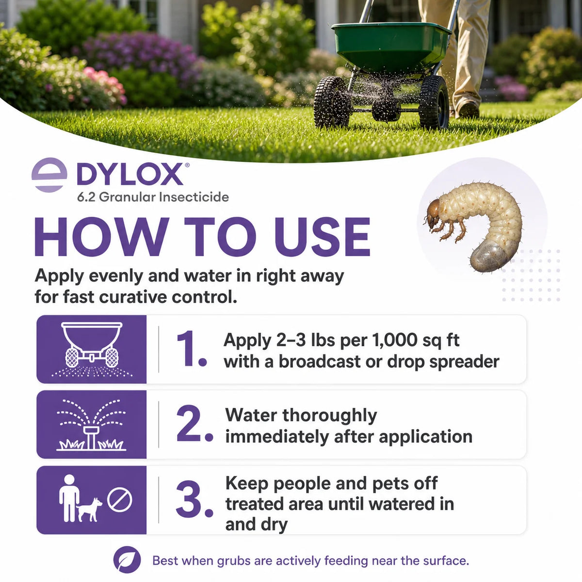 Broadcast Insecticide Dylox 6.2 Insecticide - Rapid Kill for Grubs, Sod Webworms & Surface ...
