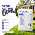 Dylox 6.2 Insecticide