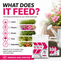 Elite Plant Fertilizer 14-14-14