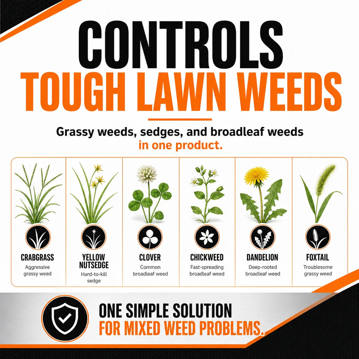 Q4 Plus Weed Control