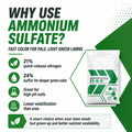 Ammonium Sulfate 21-0-0 Fertilizer
