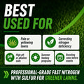 Ammonium Sulfate 21-0-0 Fertilizer