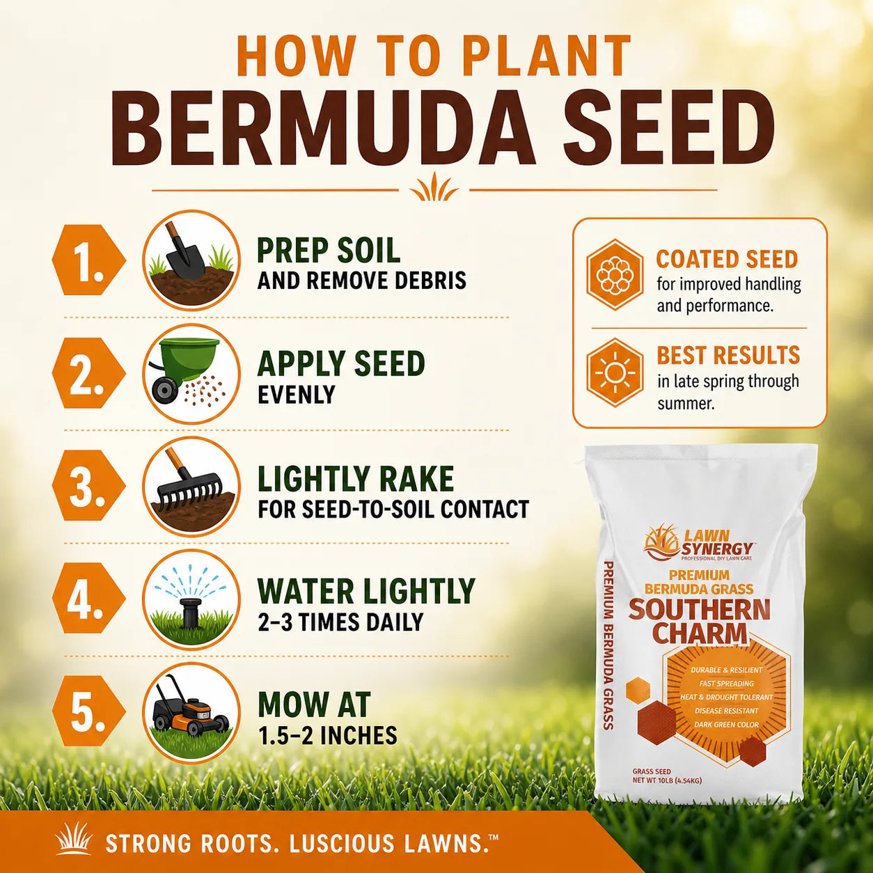 bermuda grass seed planting tips Southern Charm Bermuda Grass Seed